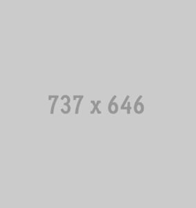 737x646